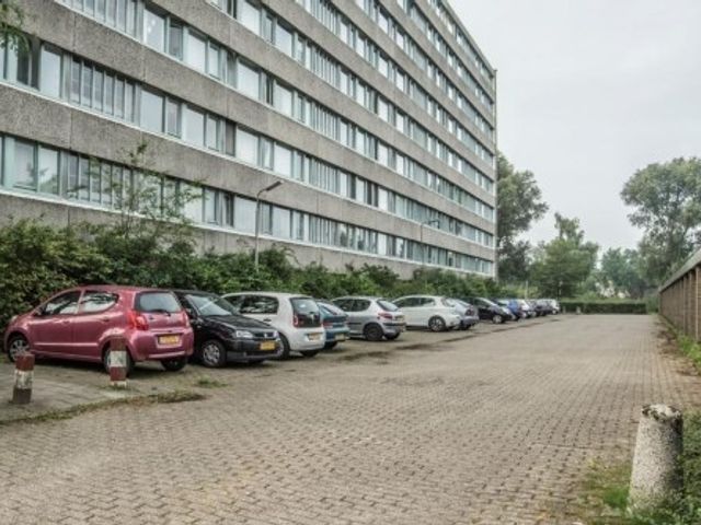 Zangvogelweg , Amersfoort