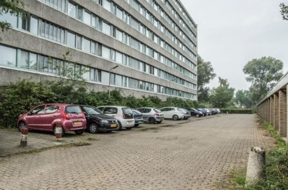 Zangvogelweg 