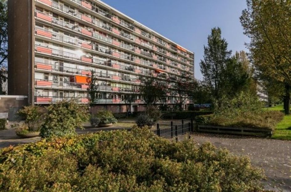 Trekvogelweg 