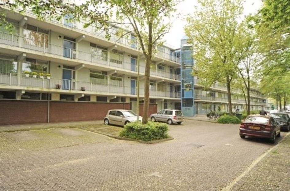 Pijperring 