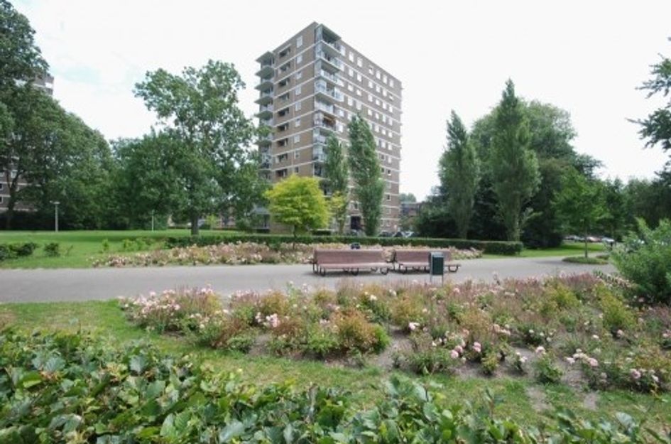 Hendrinaland 