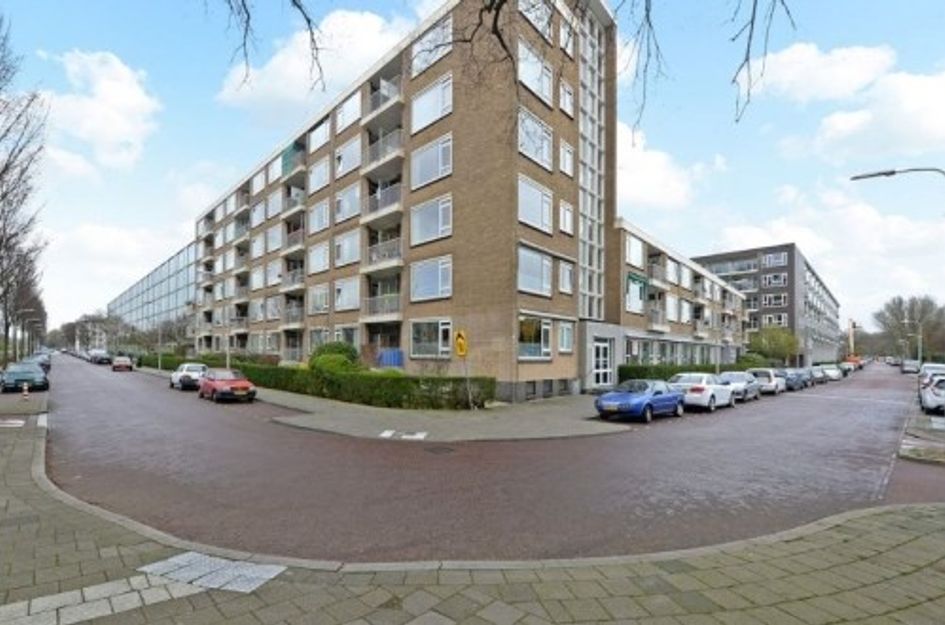 Erasmusplein 