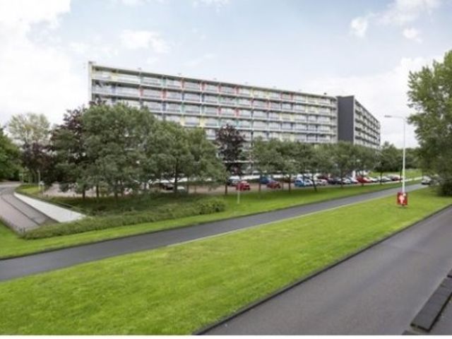 Merendonk , Leiden