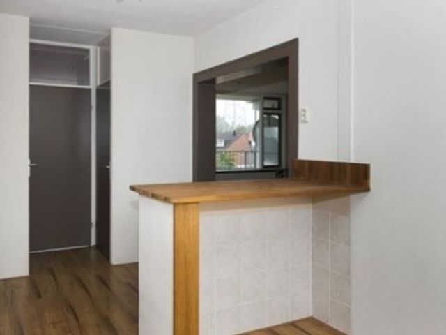 Merendonk , Leiden