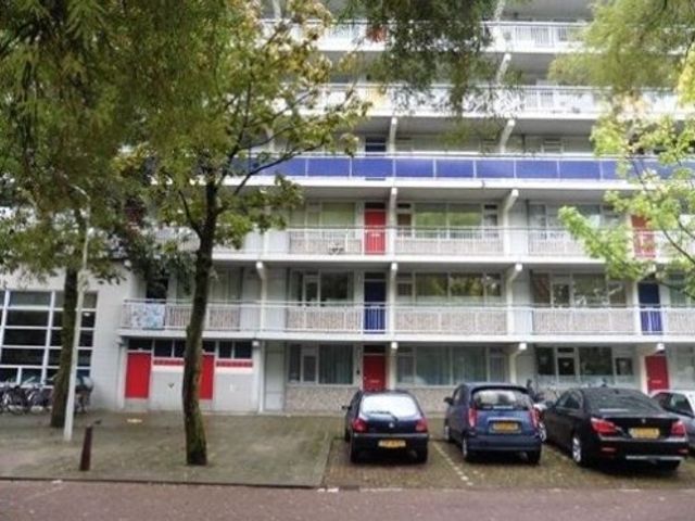 Milanenhorst , Leiden