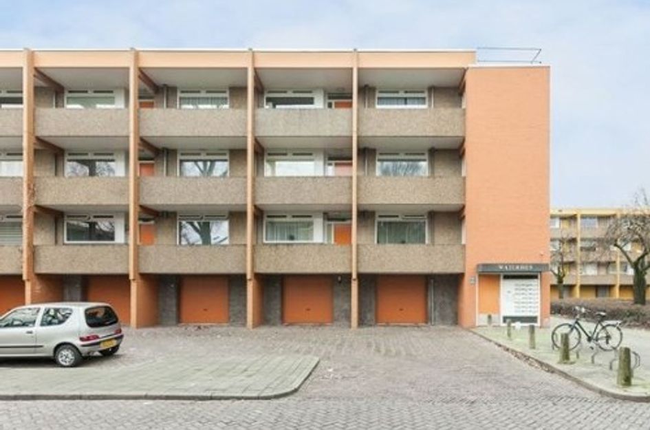 Meijhorst 