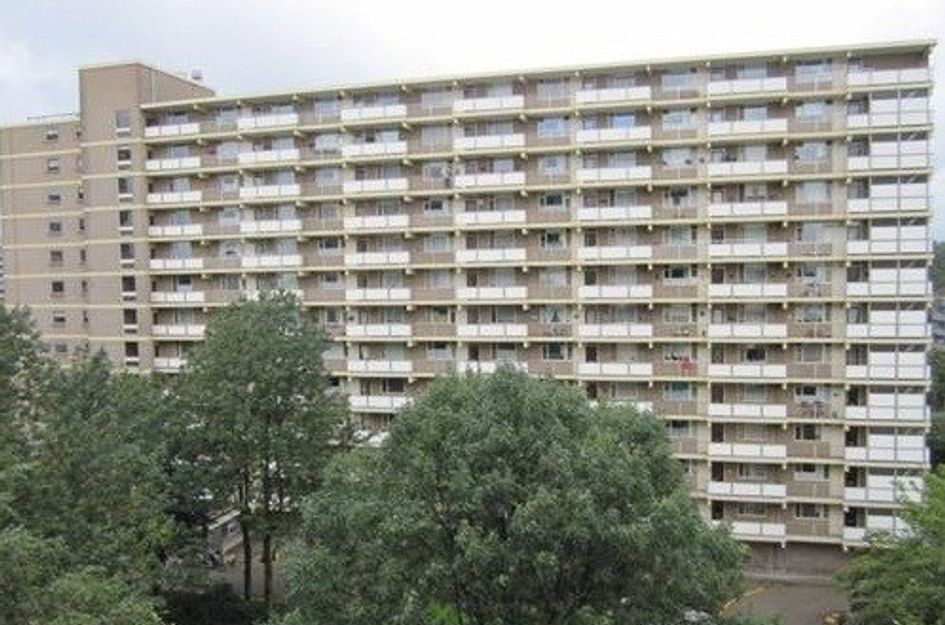 Dadeltuin 