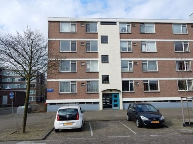 Zocherstraat , Rotterdam