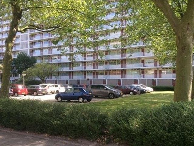 Spuikreek , Rotterdam