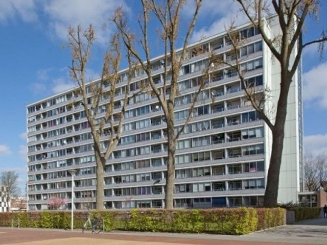 Plein 1953 , Rotterdam