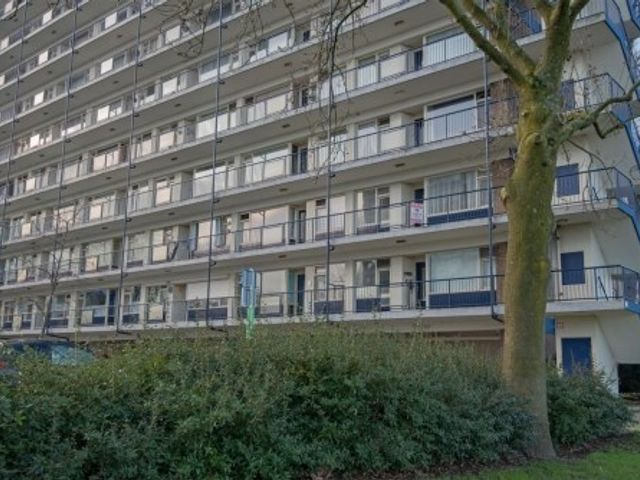 Jan Dammassestraat , Rotterdam