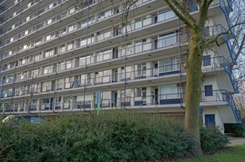 Jan Dammassestraat 