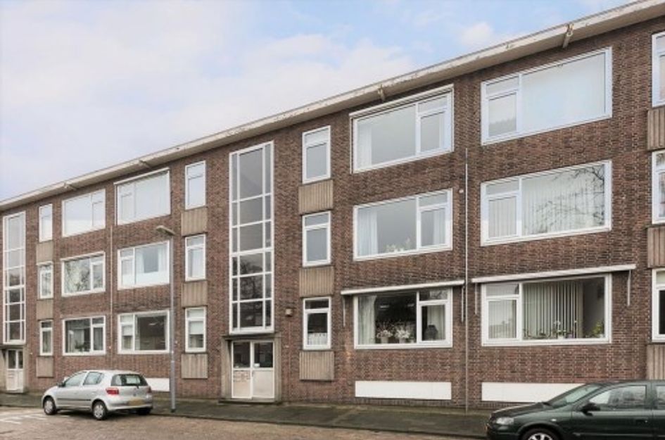 Aalscholverstraat 