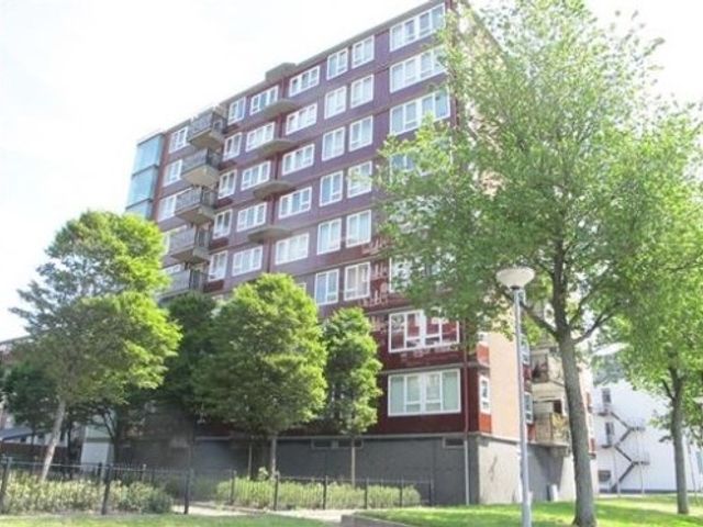 Baloeranstraat , Rotterdam