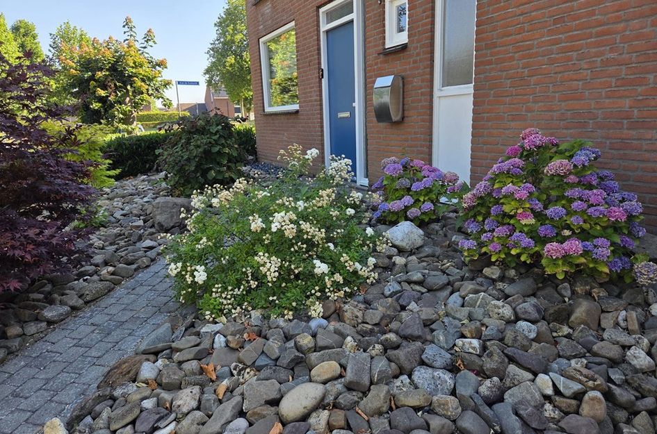 Koelmoer 51