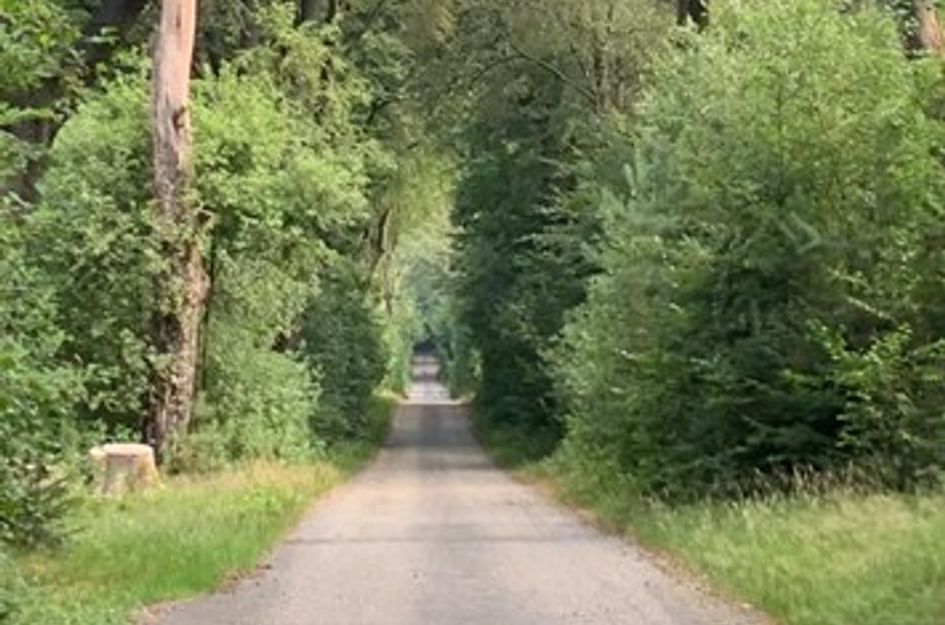 Scherpenzeelseweg 90
