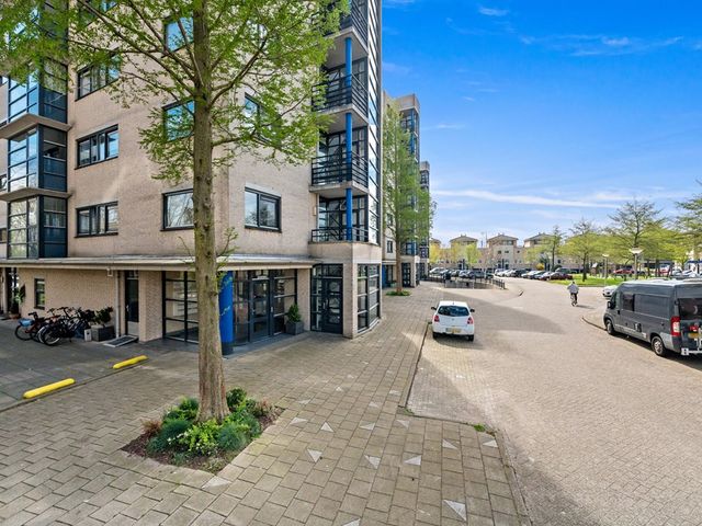 Parkzoom 247, Delft