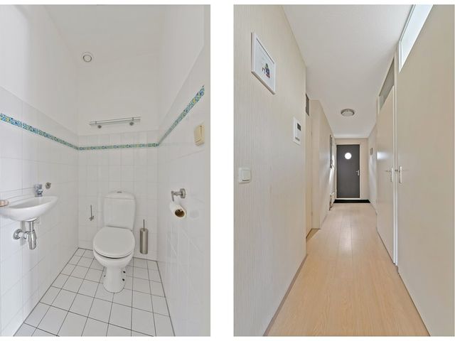 Fluitekruid 48, Den Hoorn