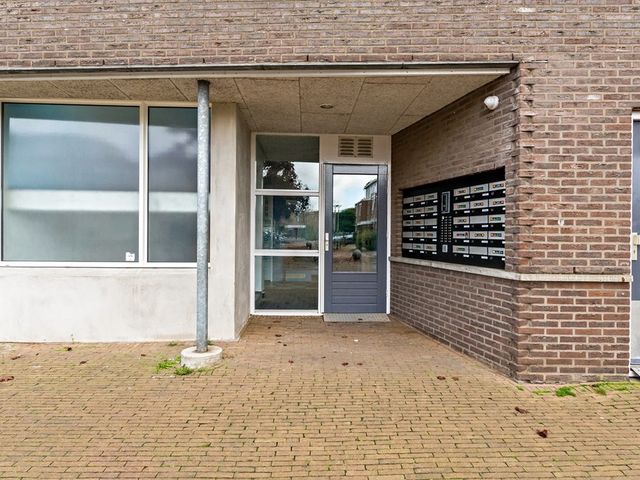 Fluitekruid 48, Den Hoorn