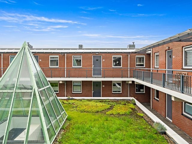 Fluitekruid 48, Den Hoorn