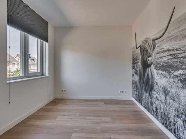 Dorperveldstraat 20, Velden