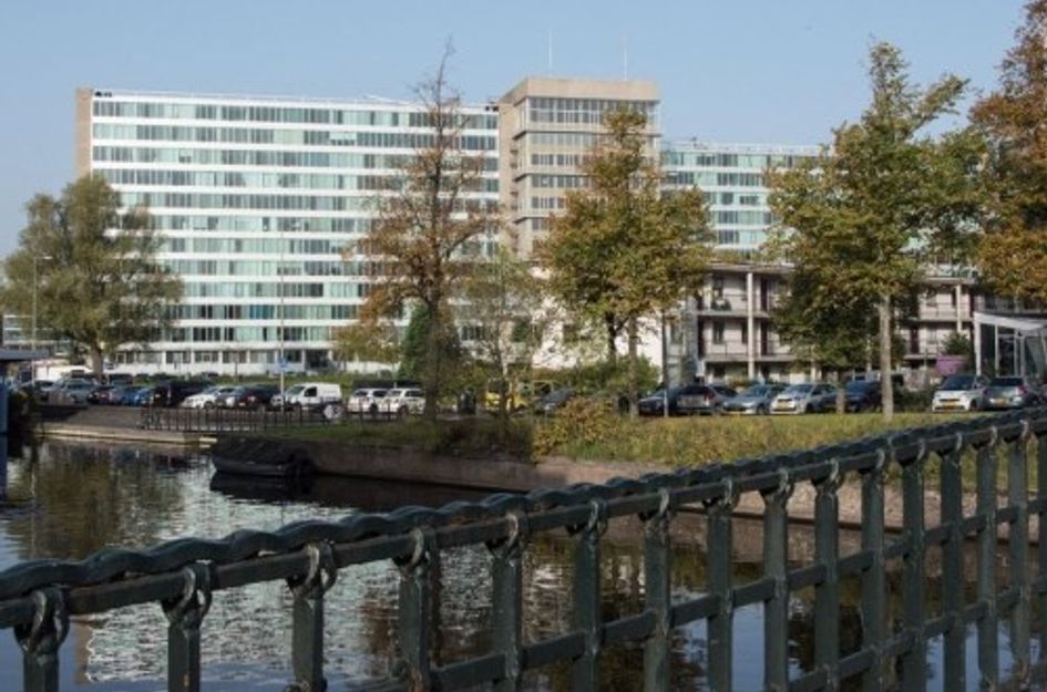 Bos en Lommerplantsoen ONG