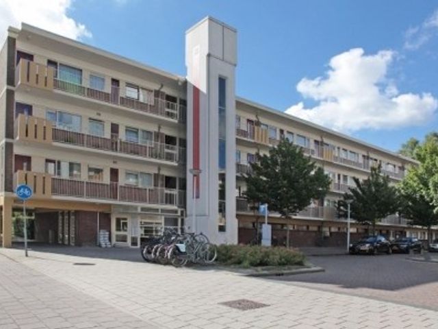 Valkhof ONG, Amsterdam