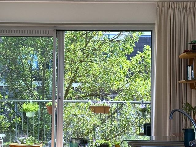 Vrolikstraat 347F, Amsterdam