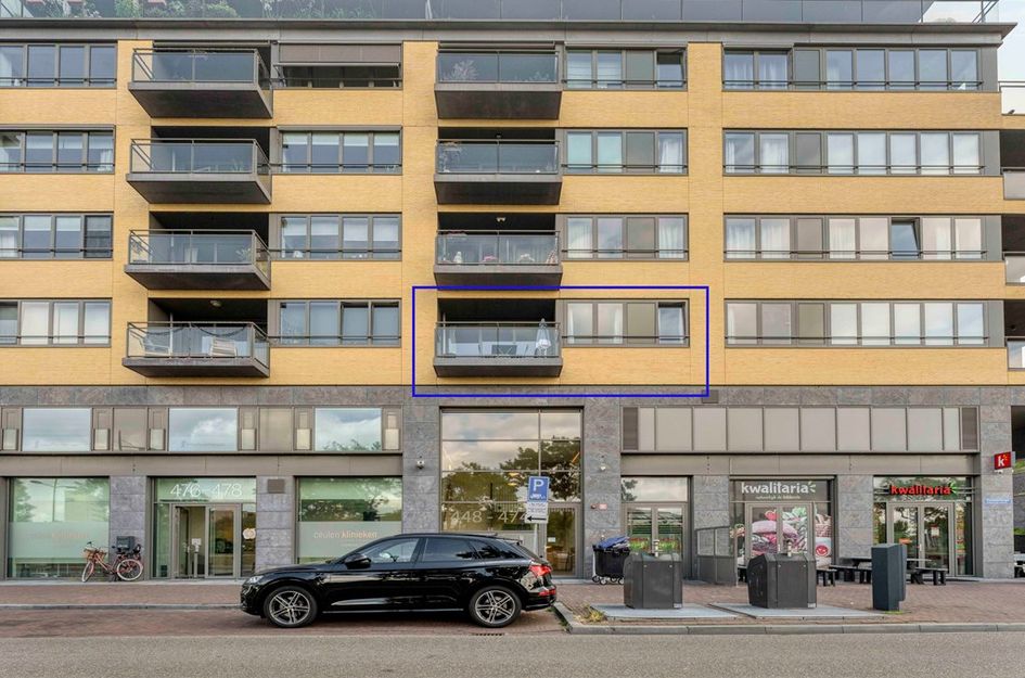 Grauwaartsingel 450