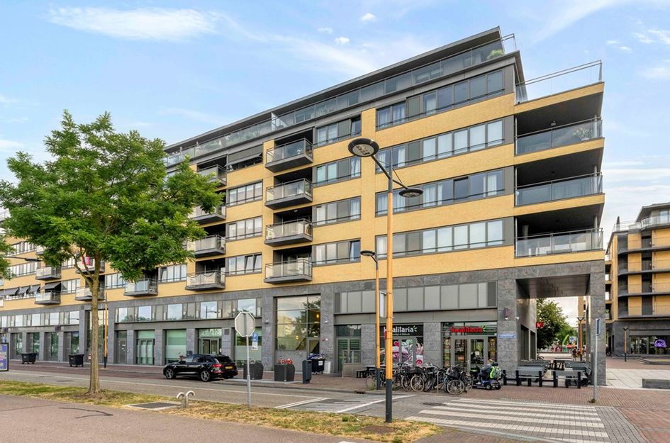 Grauwaartsingel 450