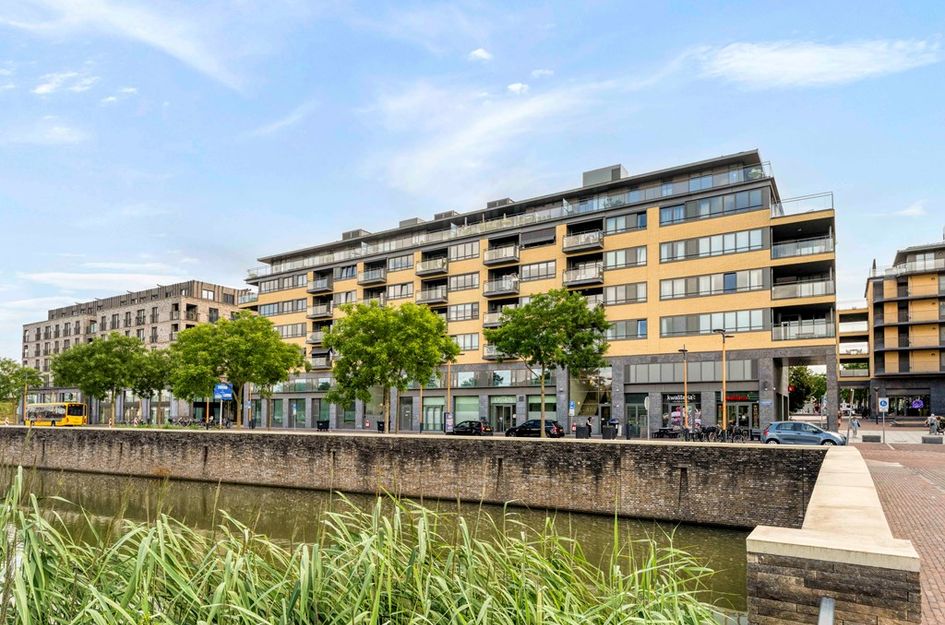 Grauwaartsingel 450
