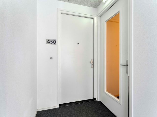 Grauwaartsingel 450, Utrecht