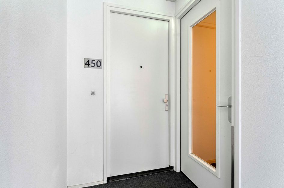 Grauwaartsingel 450