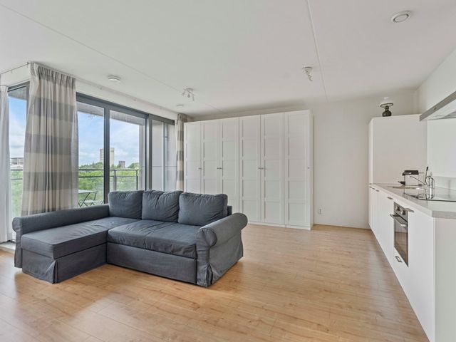 Grauwaartsingel 450, Utrecht