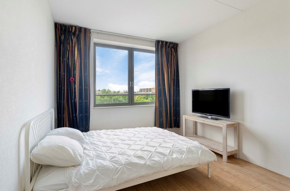 Grauwaartsingel 450