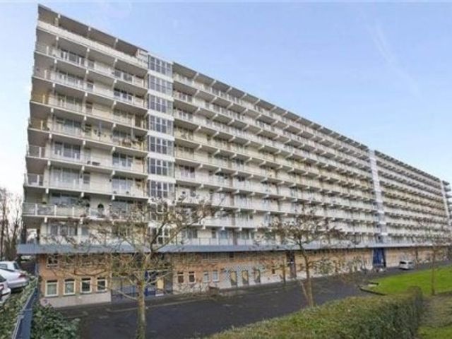 Hofgeest ONG, Amsterdam