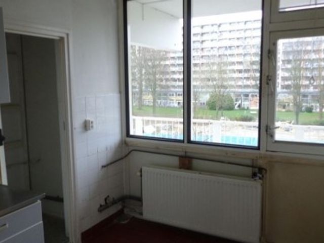 Hofgeest ONG, Amsterdam