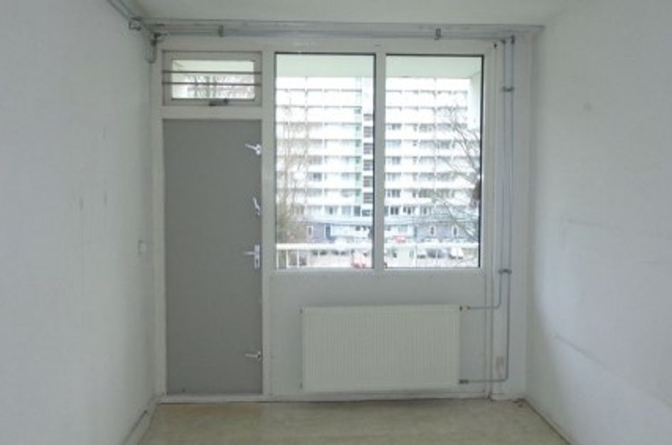 Hofgeest ONG