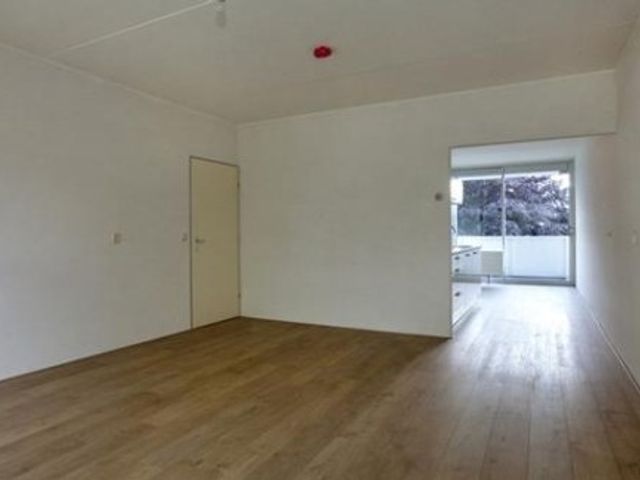 Renkumhof ONG, Amsterdam