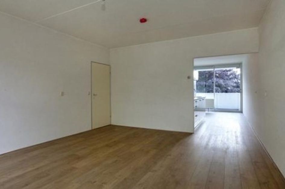 Renkumhof ONG