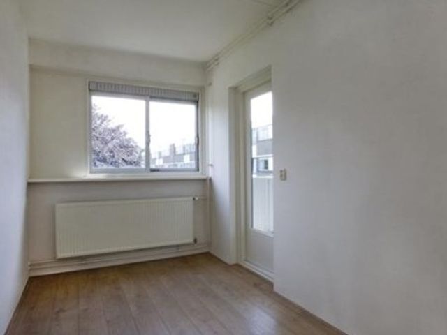 Renkumhof ONG, Amsterdam