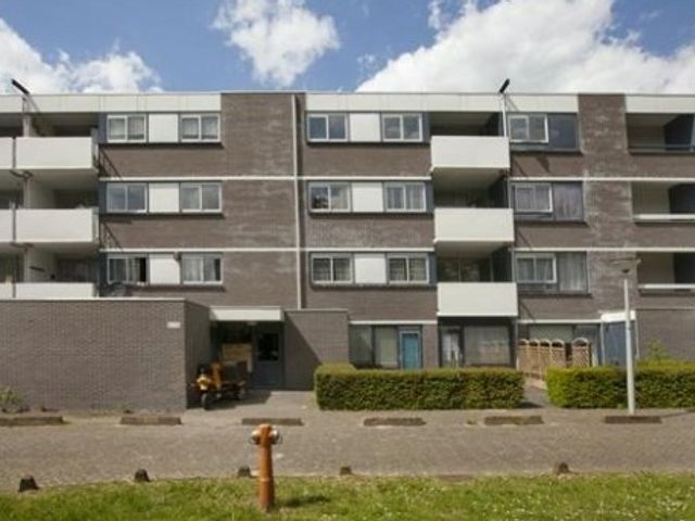 Renkumhof ONG, Amsterdam