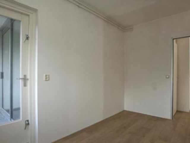 Renkumhof ONG, Amsterdam