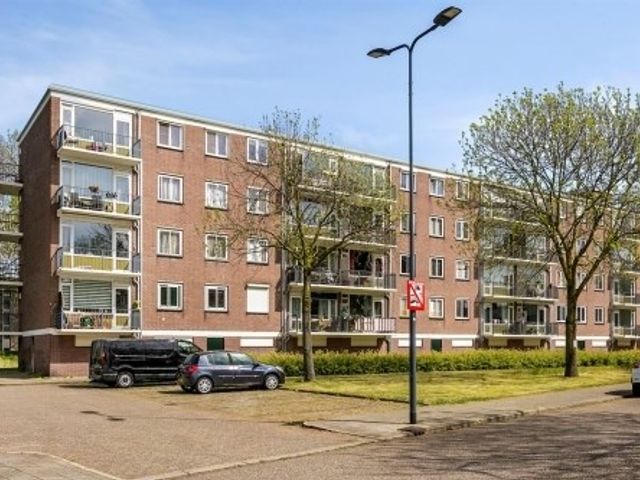 Maassingel ONG, 's-Hertogenbosch