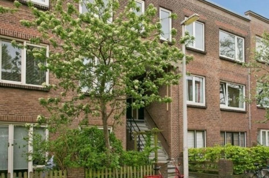 Anjelierstraat ONG