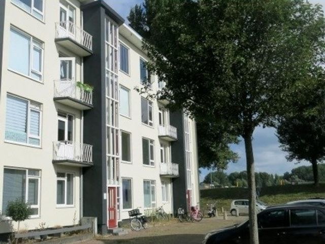 Reigerstraat ONG, Dordrecht
