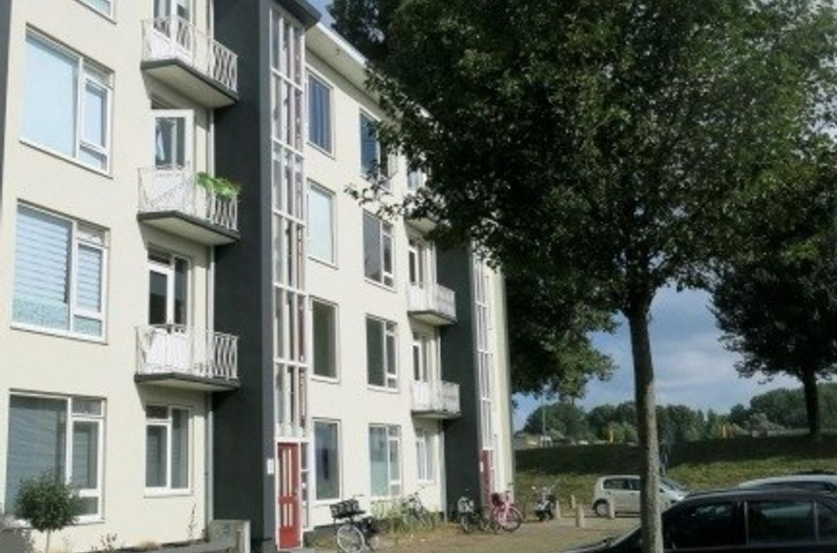 Reigerstraat ONG