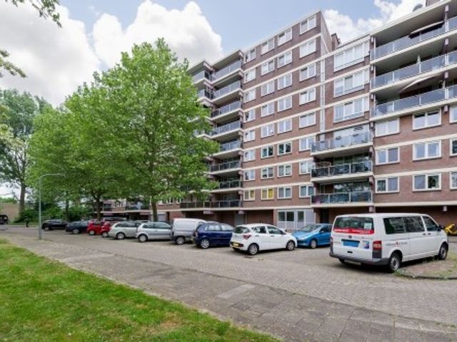 Prattenburg ONG, Haarlem