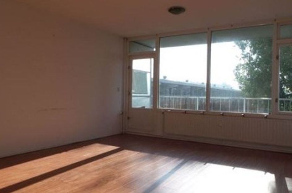 Milanenhorst ONG