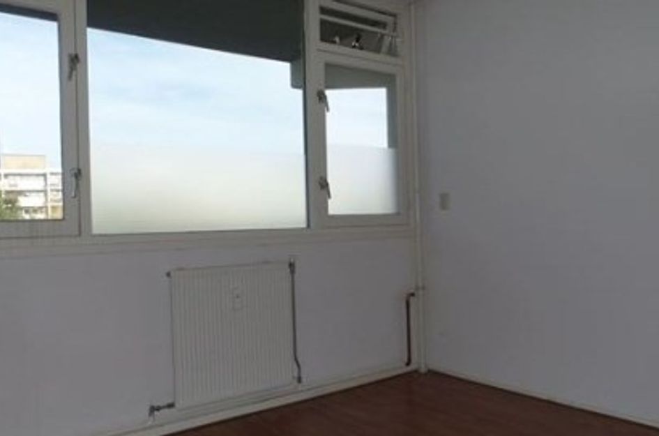 Milanenhorst ONG